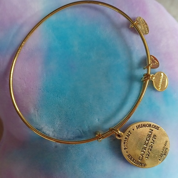 Capricorn Celestial Wheel expandable bangle by Alex and Ani RARE/DISCONTINUED - Picture 12 of 12